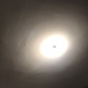 Meet your Posher, Fernando